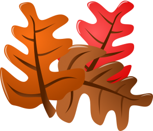 oak-157967_1280